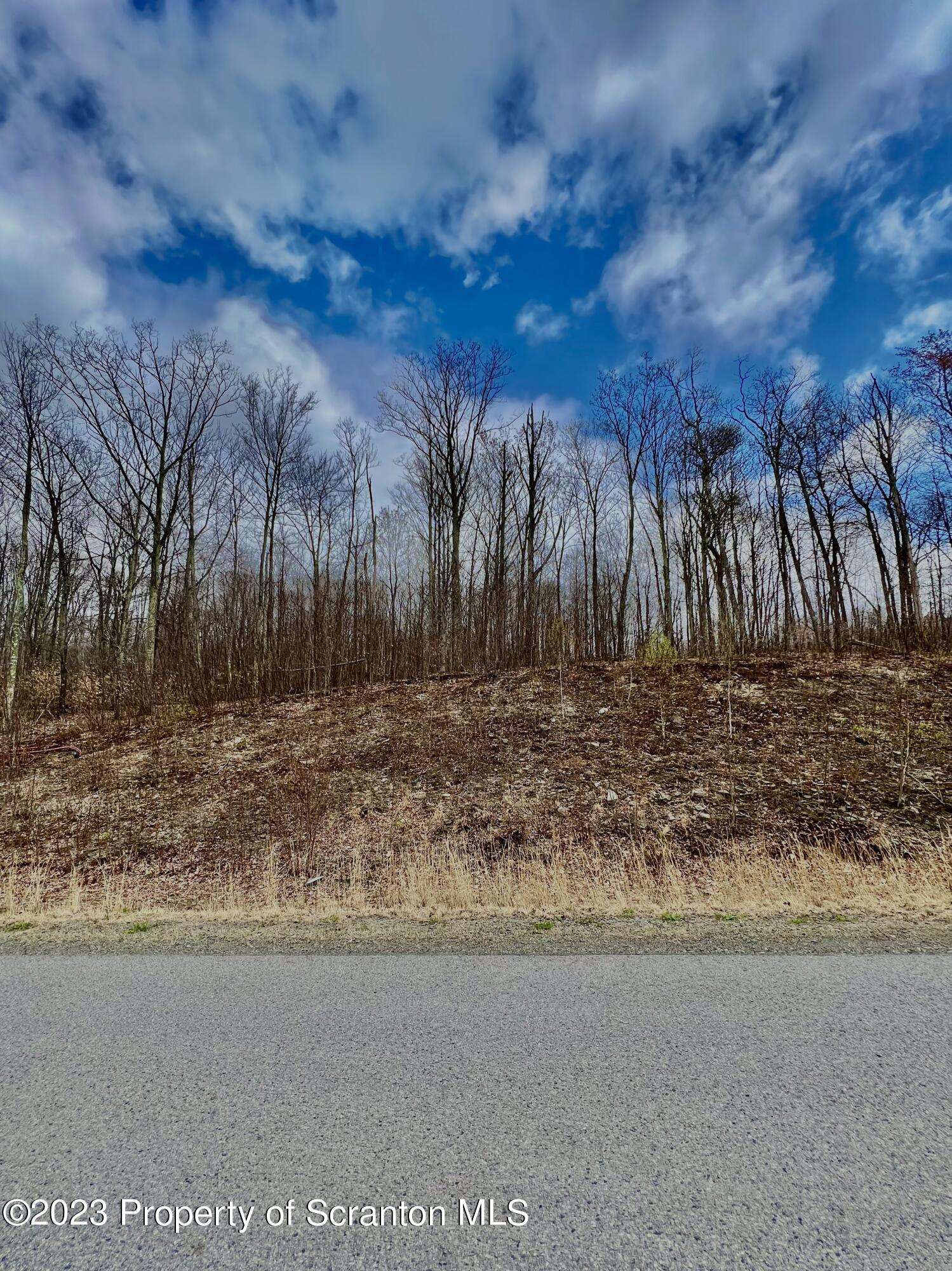 112 Summit Woods Road Moscow, PA 18444 - Photo 2 of 4