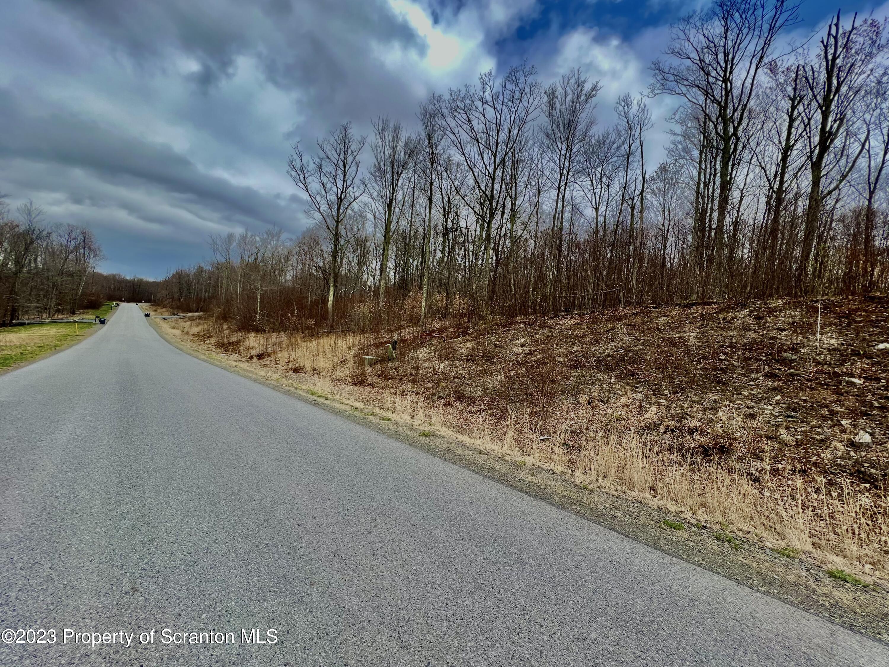 112 Summit Woods Road Moscow, PA 18444 - Photo 3 of 4 a view of a yard with large tree