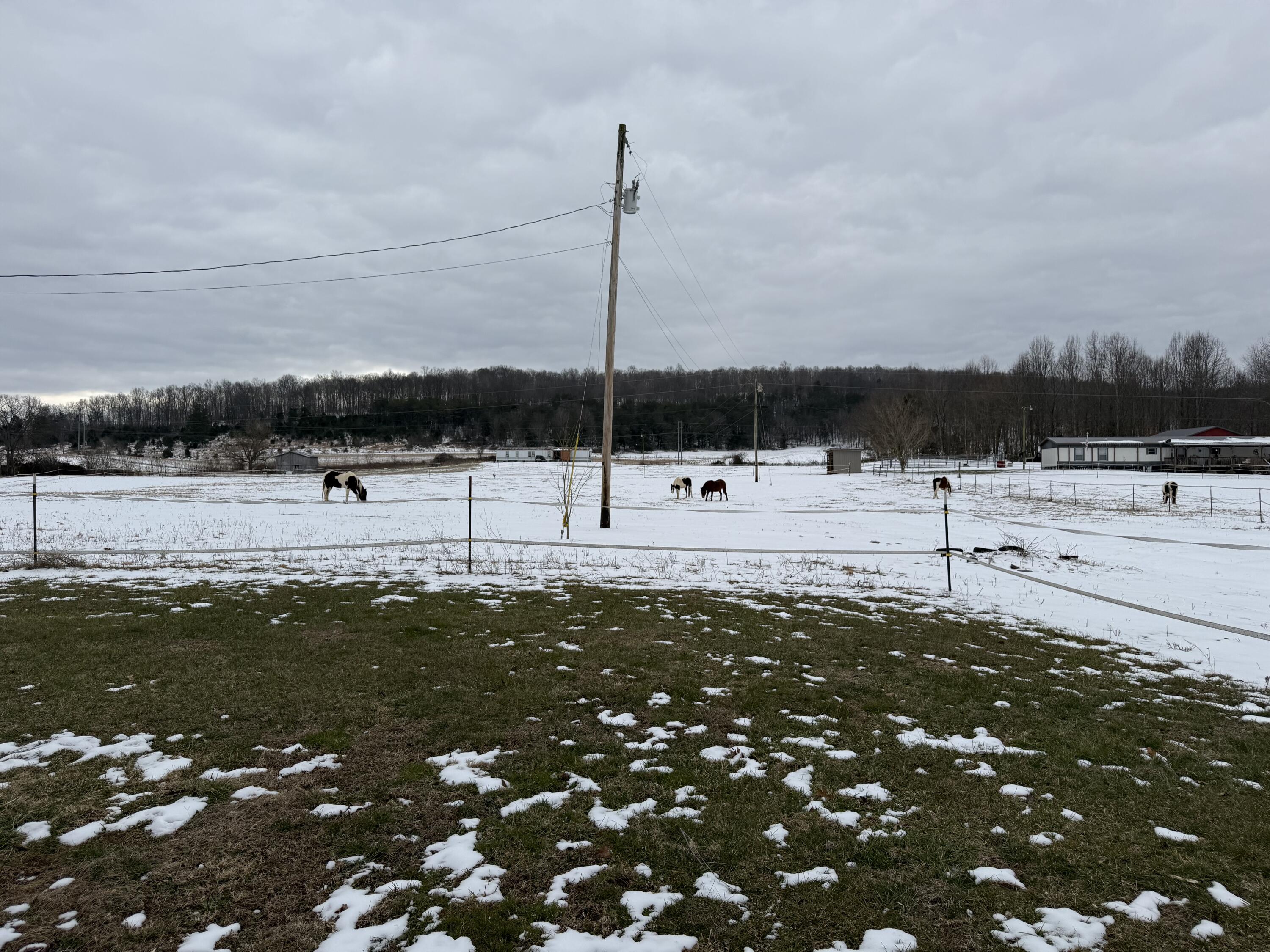 787 Cooper Hollow Road Monticello, KY 42633 - Photo 6 of 19 IMG_5603