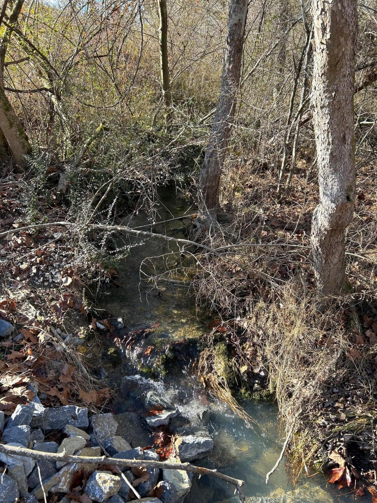 8 Euchee Road Ten Mile, TN 37880 - Photo 11 of 35