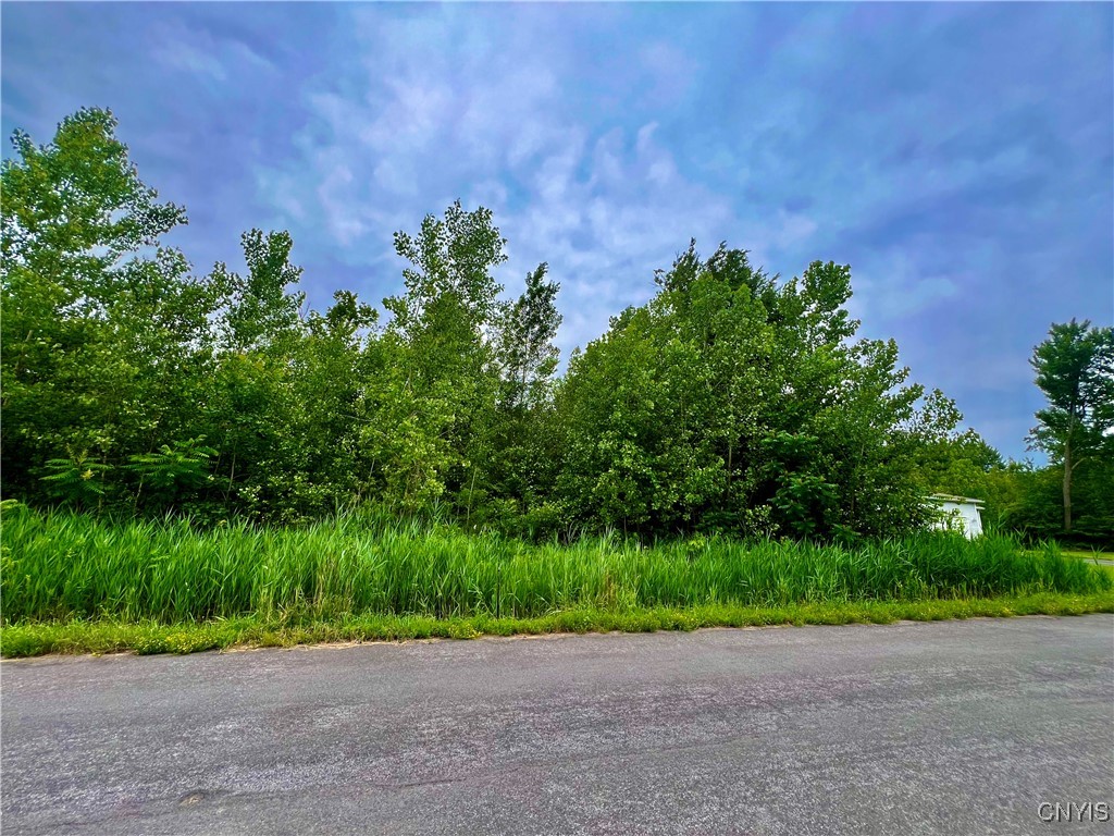 Lot 17 Forest Ridge Drive Utica, NY 13501 - Photo 2 of 6