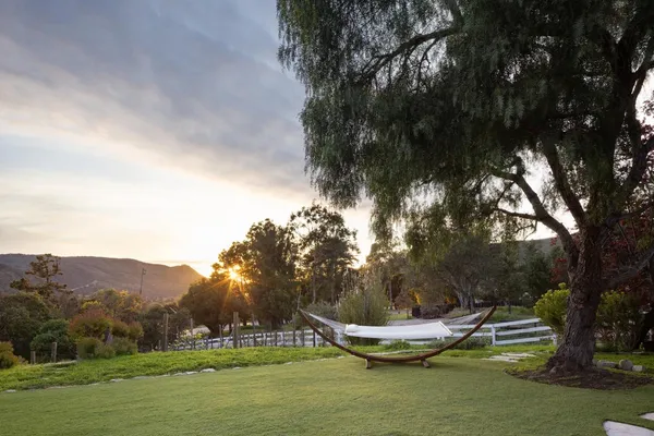 a view of a backyard with mountain