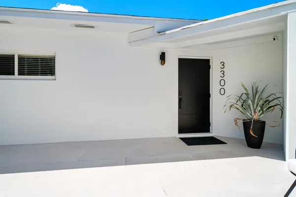 a potted plant sitting on the side of a building
