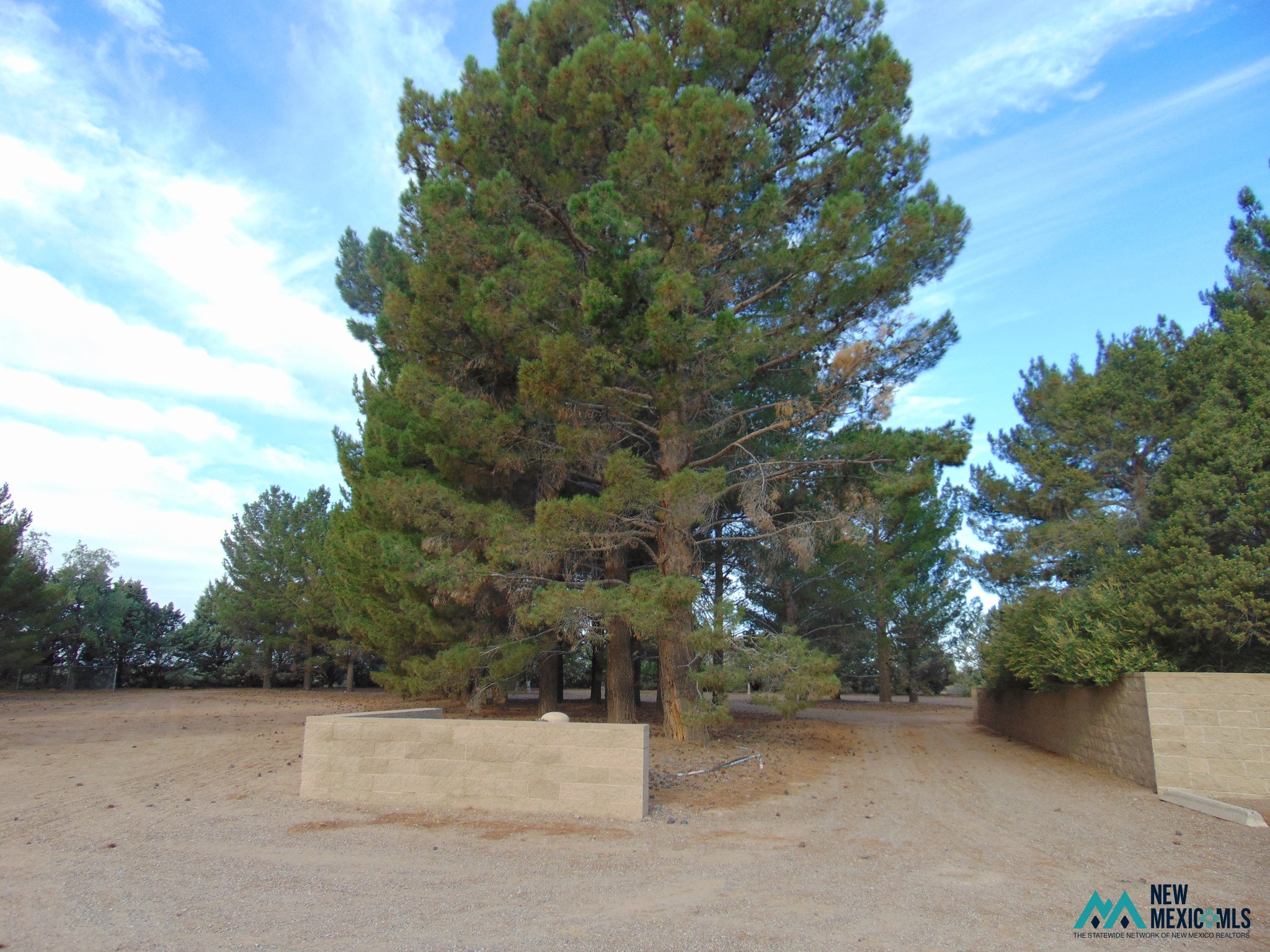 6560 Ventura Road Southeast Deming, NM 88030 - Photo 48 of 50 Gallery Image 48