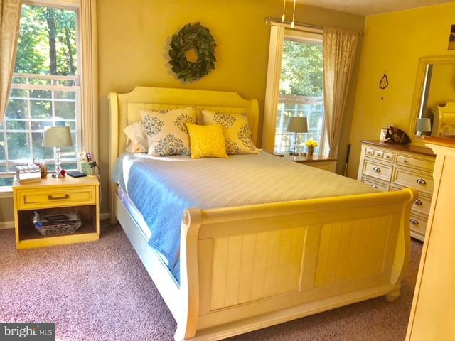 14 Sparrows Way Elkton, MD 21921 - Photo 14 of 28 Bedroom (Master)