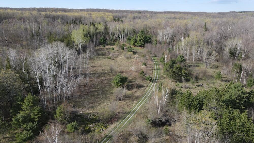 Vl Curtisville Road Mio, MI 48647 - Photo 22 of 141 DJI_0746