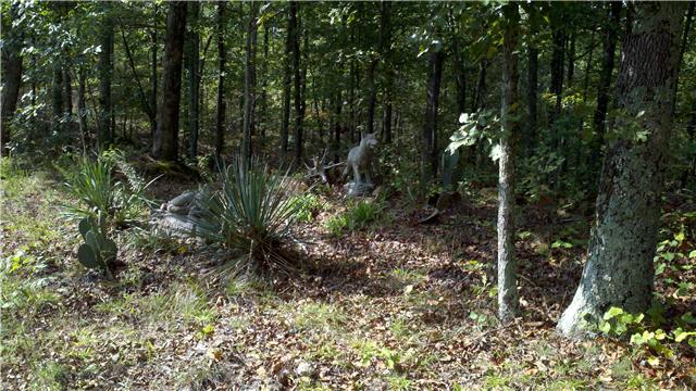 1664 Toms Creek Road Linden, TN 37096 - Photo 10 of 10 Gallery Image 10