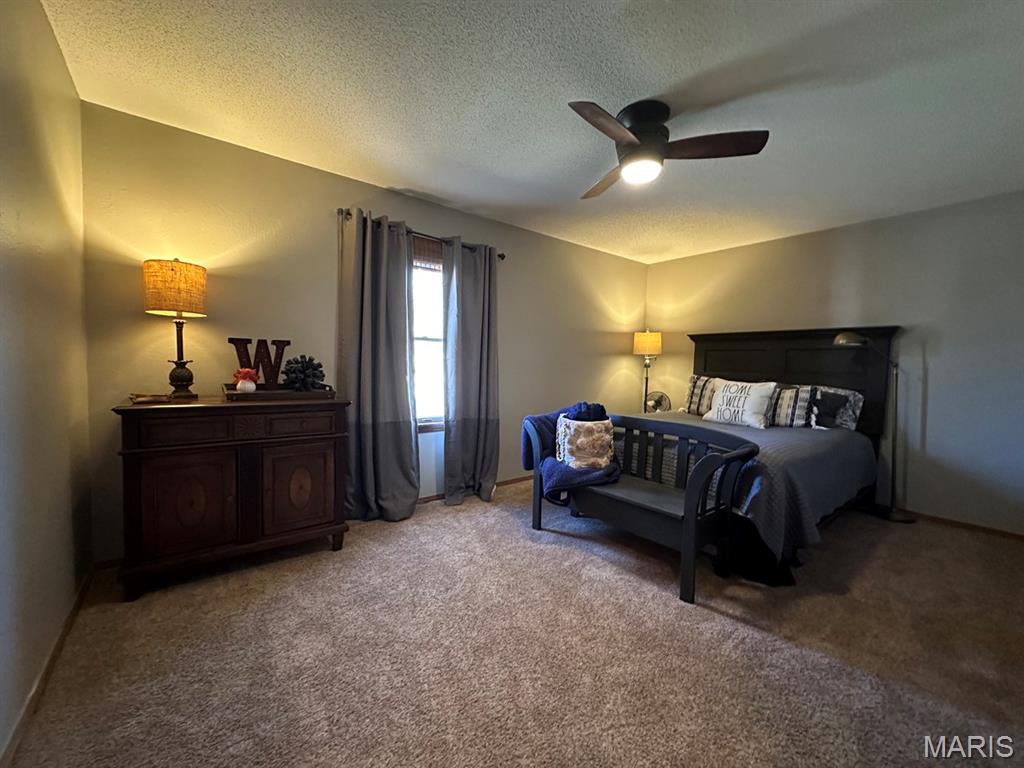 14348 Hidden Trails Circle Dexter, MO 63841 - Photo 16 of 47