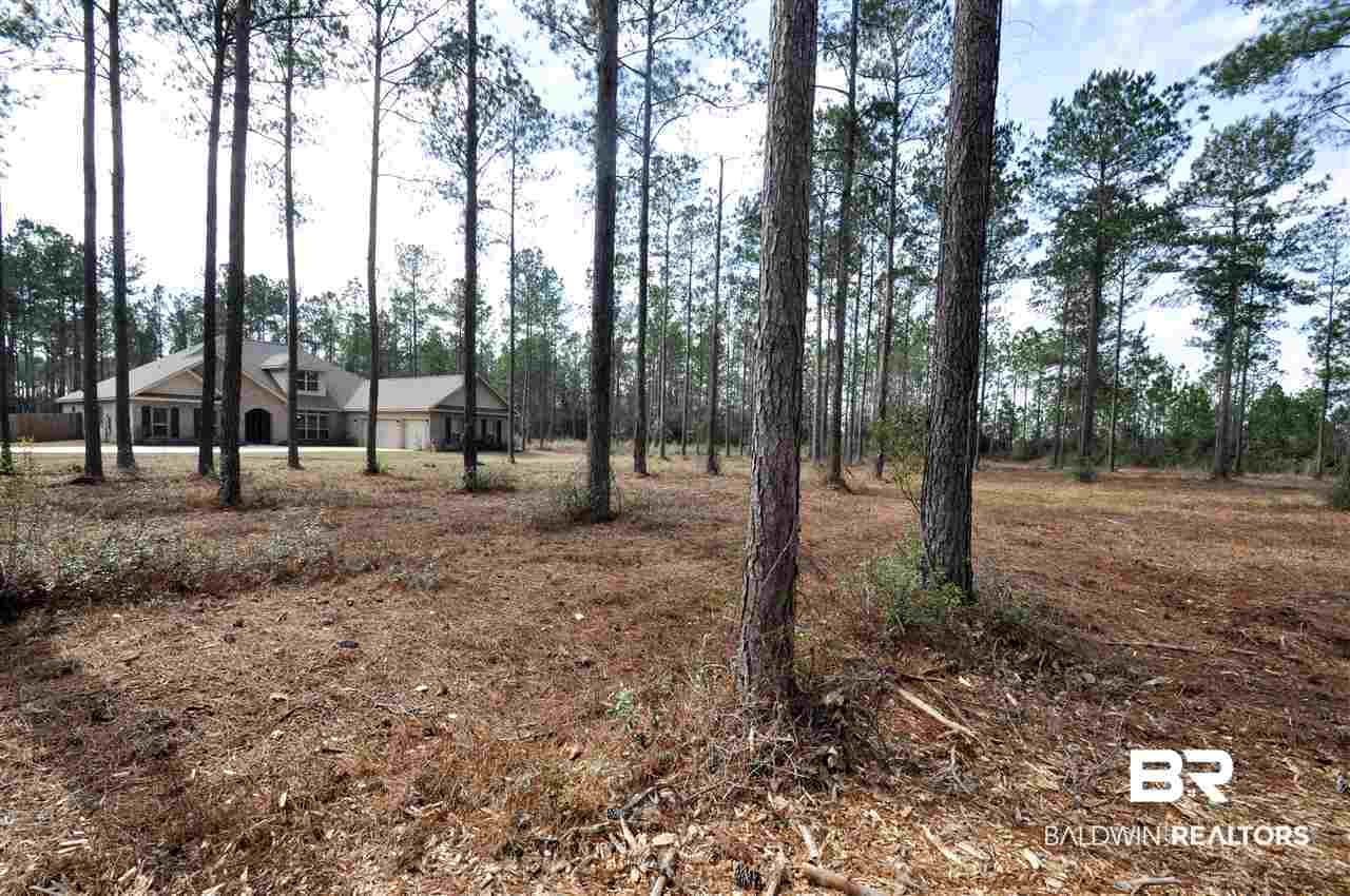 12700 Jenkins Pit Road Daphne, AL 36527 - Photo 2 of 25 3 acres