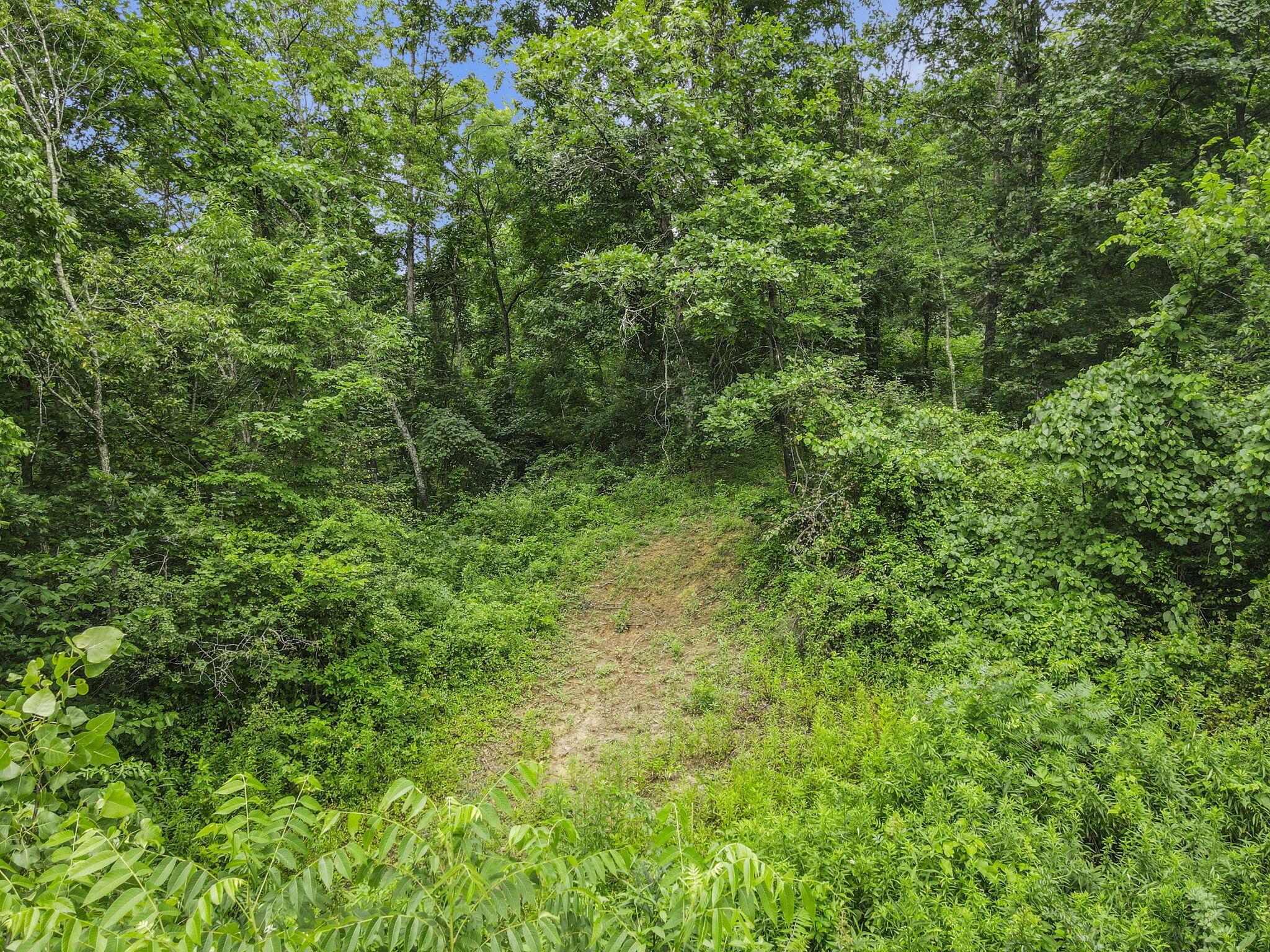 0 Greens Run Road Glouster, OH 45732 - Photo 99 of 121 99-web-or-mls-DJI_0396