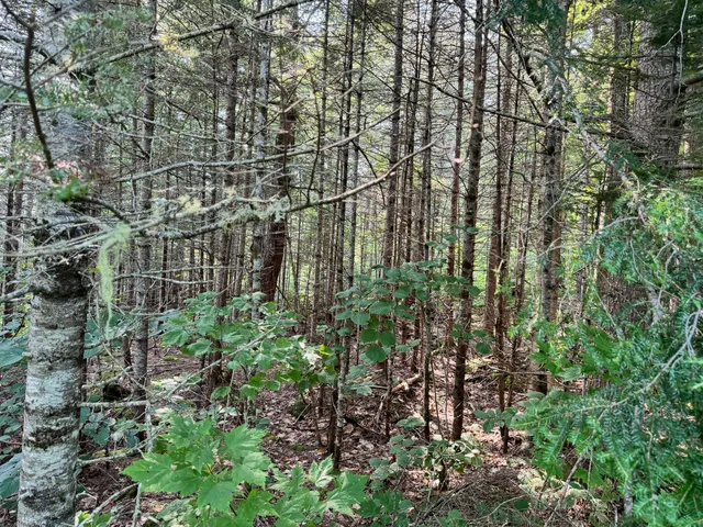 $260,000 | 286 Abbee Pond Road, Brownville, ME 04414