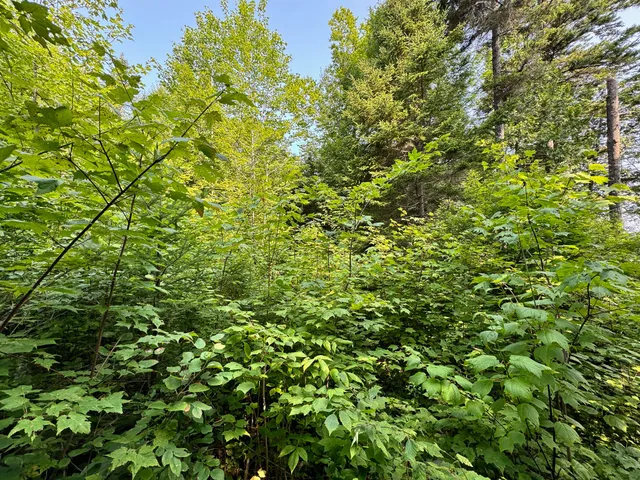 $260,000 | 286 Abbee Pond Road, Brownville, ME 04414