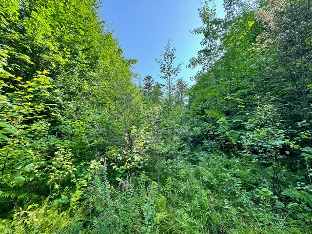 $260,000 | 286 Abbee Pond Road, Brownville, ME 04414