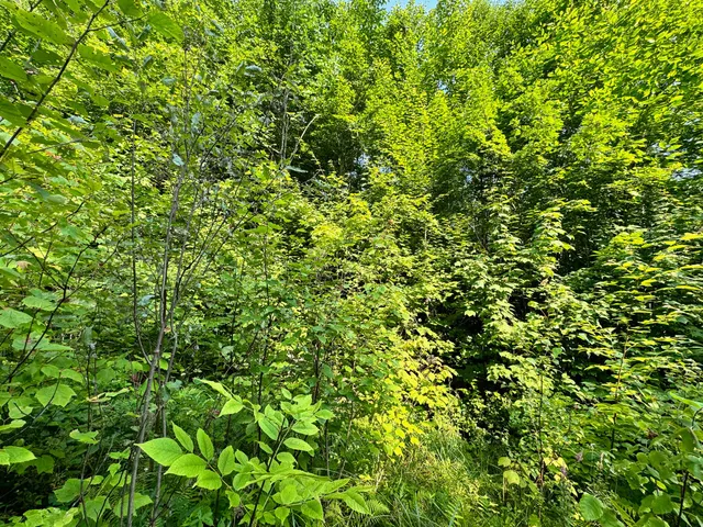 $260,000 | 286 Abbee Pond Road, Brownville, ME 04414