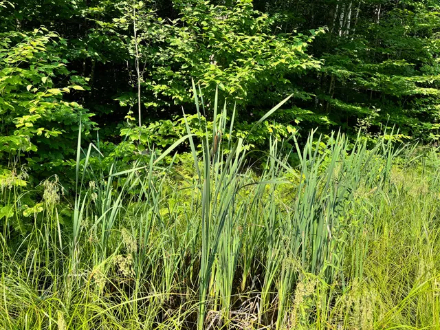 $260,000 | 286 Abbee Pond Road, Brownville, ME 04414