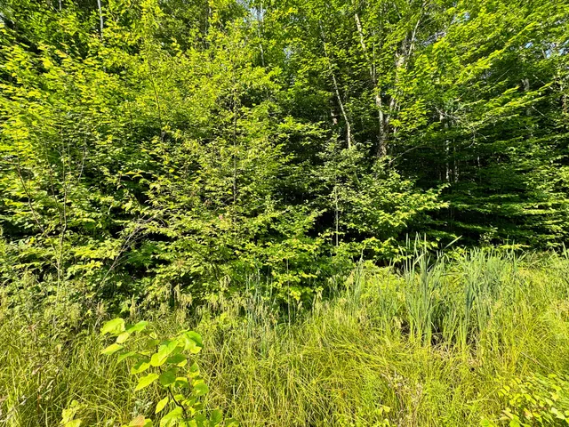 $260,000 | 286 Abbee Pond Road, Brownville, ME 04414