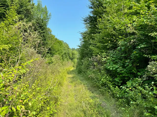 $260,000 | 286 Abbee Pond Road, Brownville, ME 04414