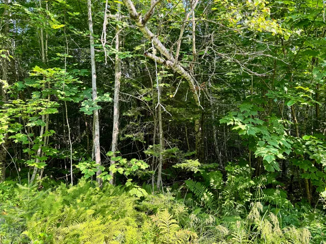 $260,000 | 286 Abbee Pond Road, Brownville, ME 04414