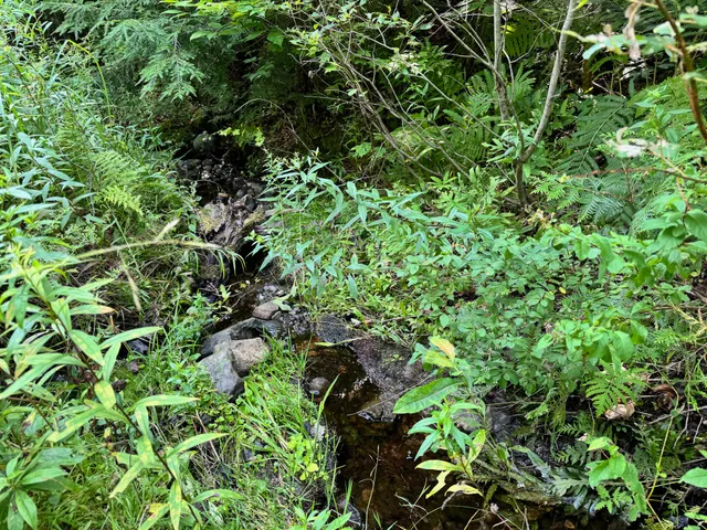 $260,000 | 286 Abbee Pond Road, Brownville, ME 04414