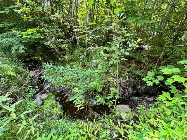 $260,000 | 286 Abbee Pond Road, Brownville, ME 04414