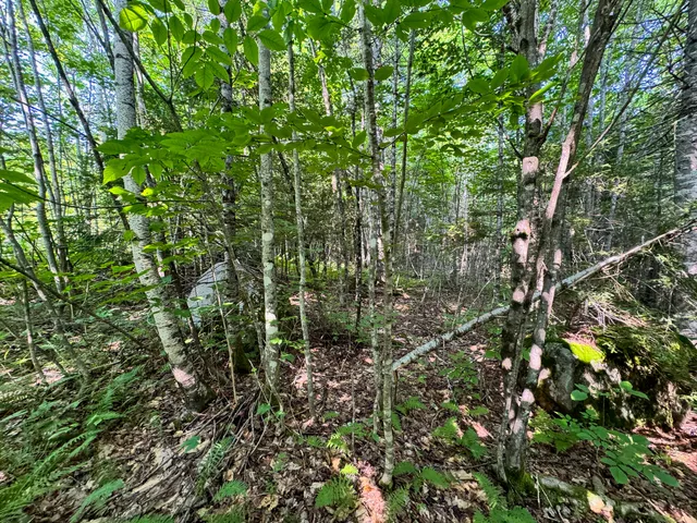 $260,000 | 286 Abbee Pond Road, Brownville, ME 04414