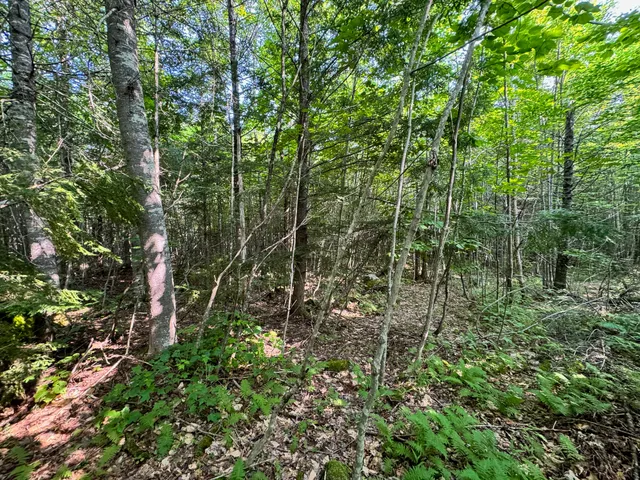 $260,000 | 286 Abbee Pond Road, Brownville, ME 04414