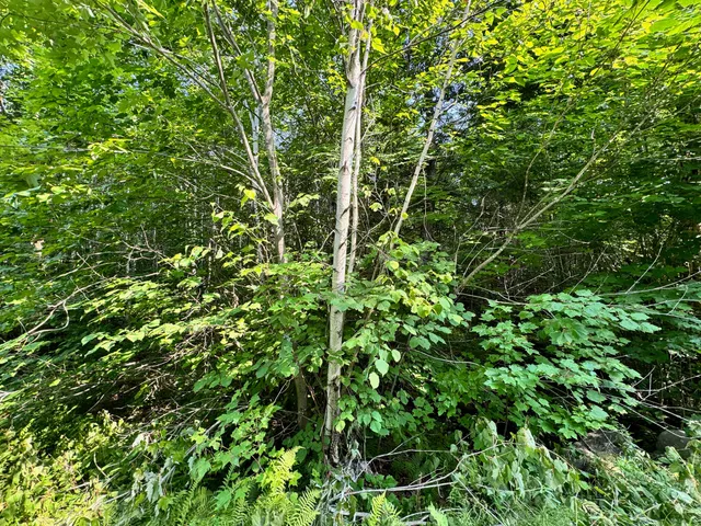 $260,000 | 286 Abbee Pond Road, Brownville, ME 04414