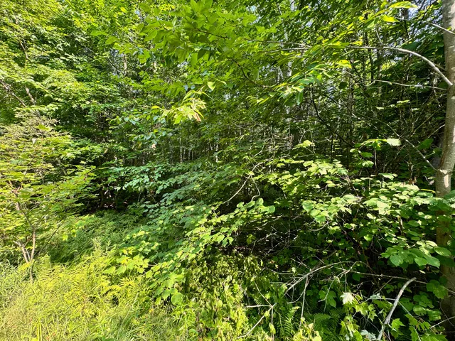 $260,000 | 286 Abbee Pond Road, Brownville, ME 04414