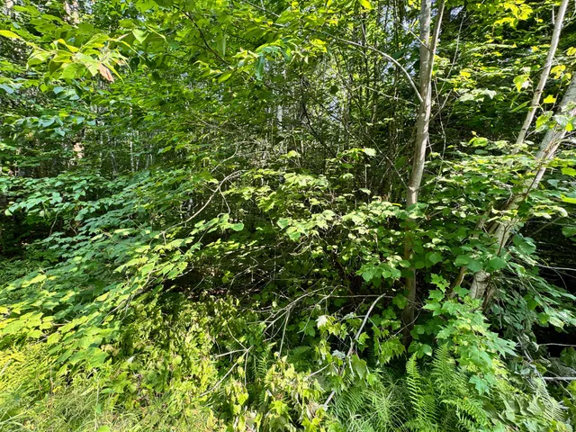 $260,000 | 286 Abbee Pond Road, Brownville, ME 04414