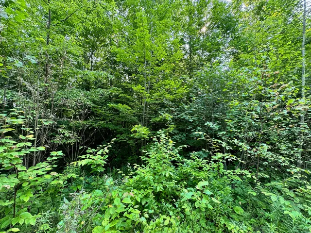 $260,000 | 286 Abbee Pond Road, Brownville, ME 04414