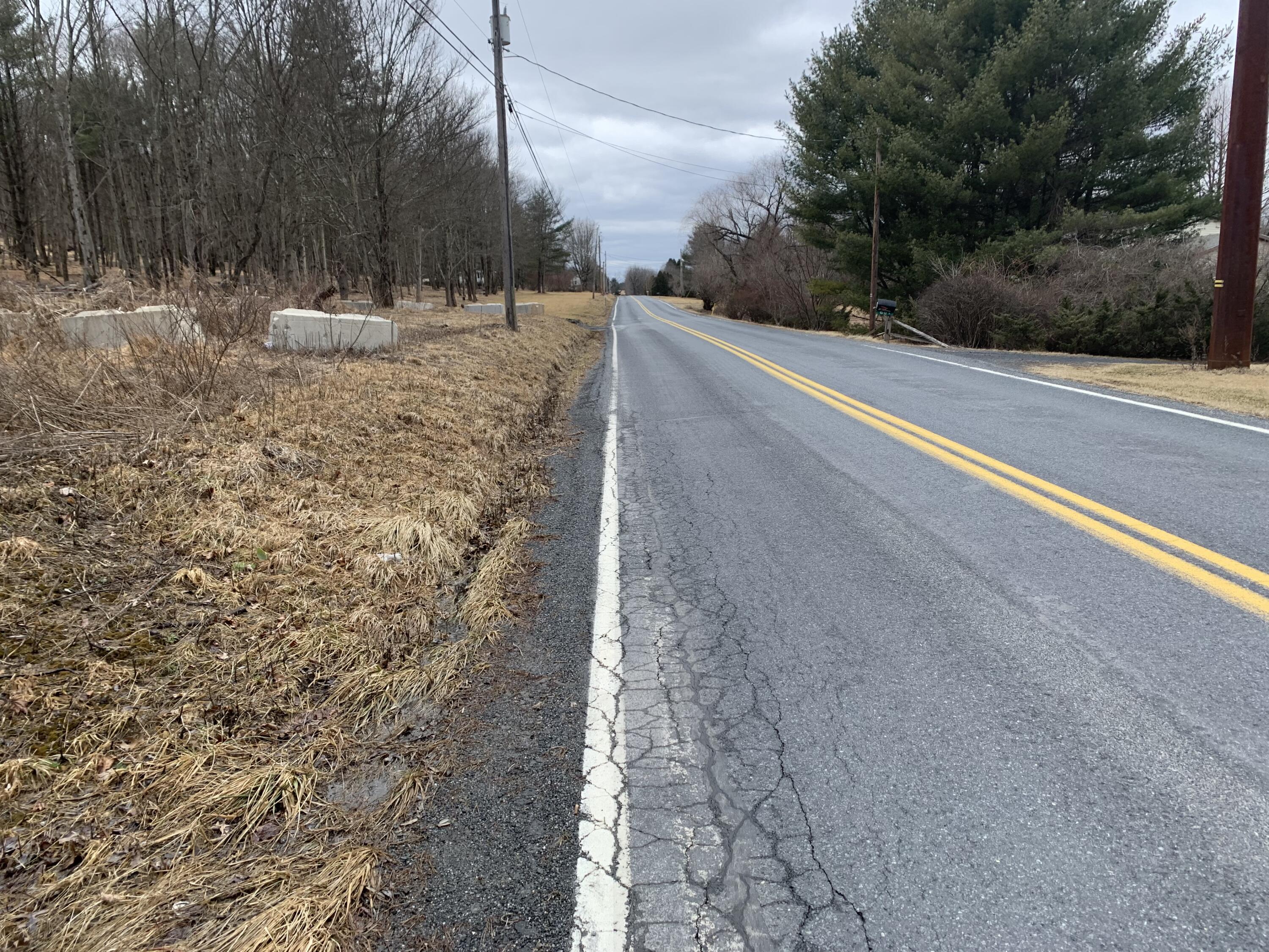 Mountain View Drive Gilbert, PA 18331 - Photo 2 of 8 a view of a yard with a tree