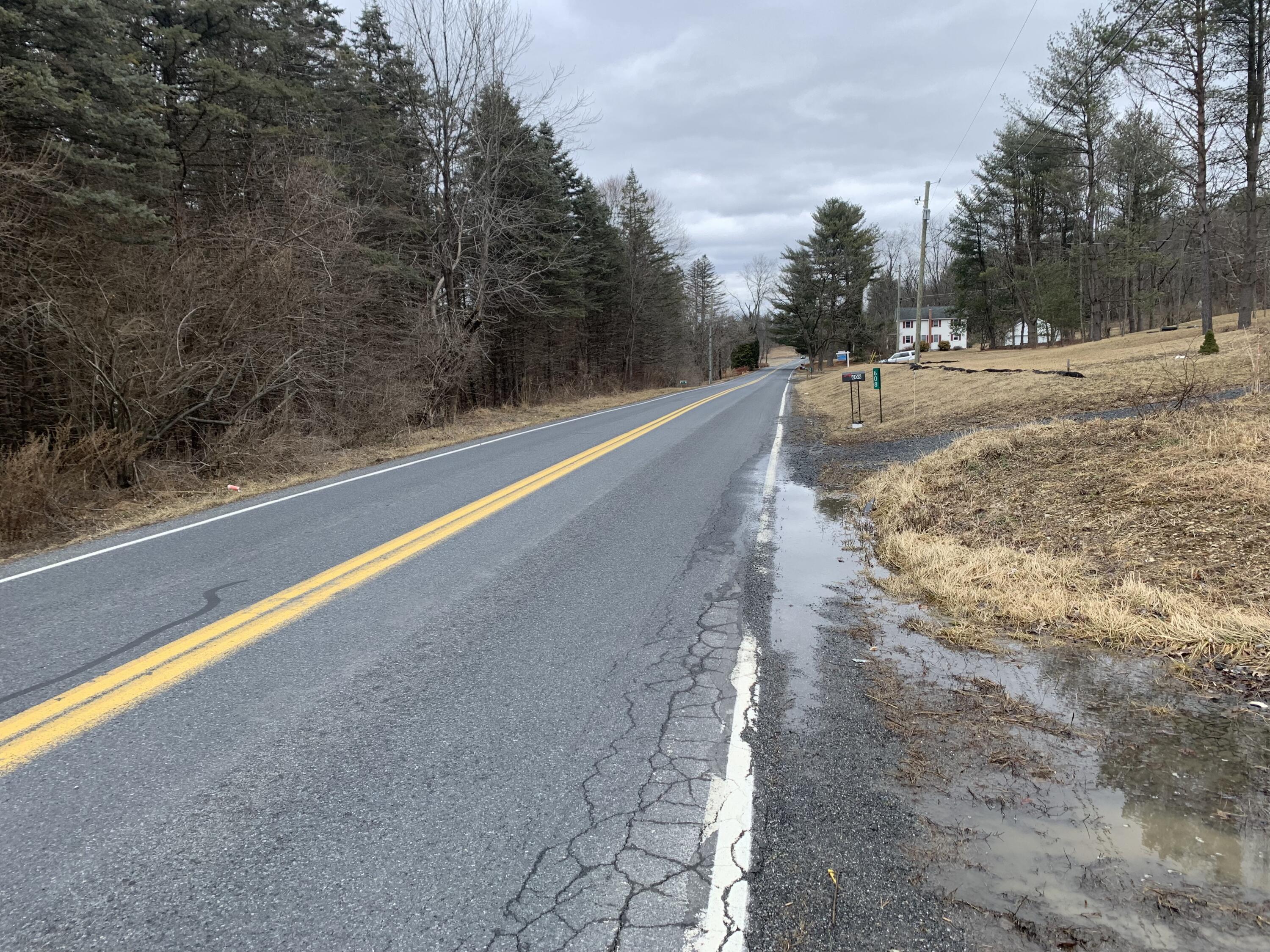 Mountain View Drive Gilbert, PA 18331 - Photo 3 of 8 a view of a dry yard with trees