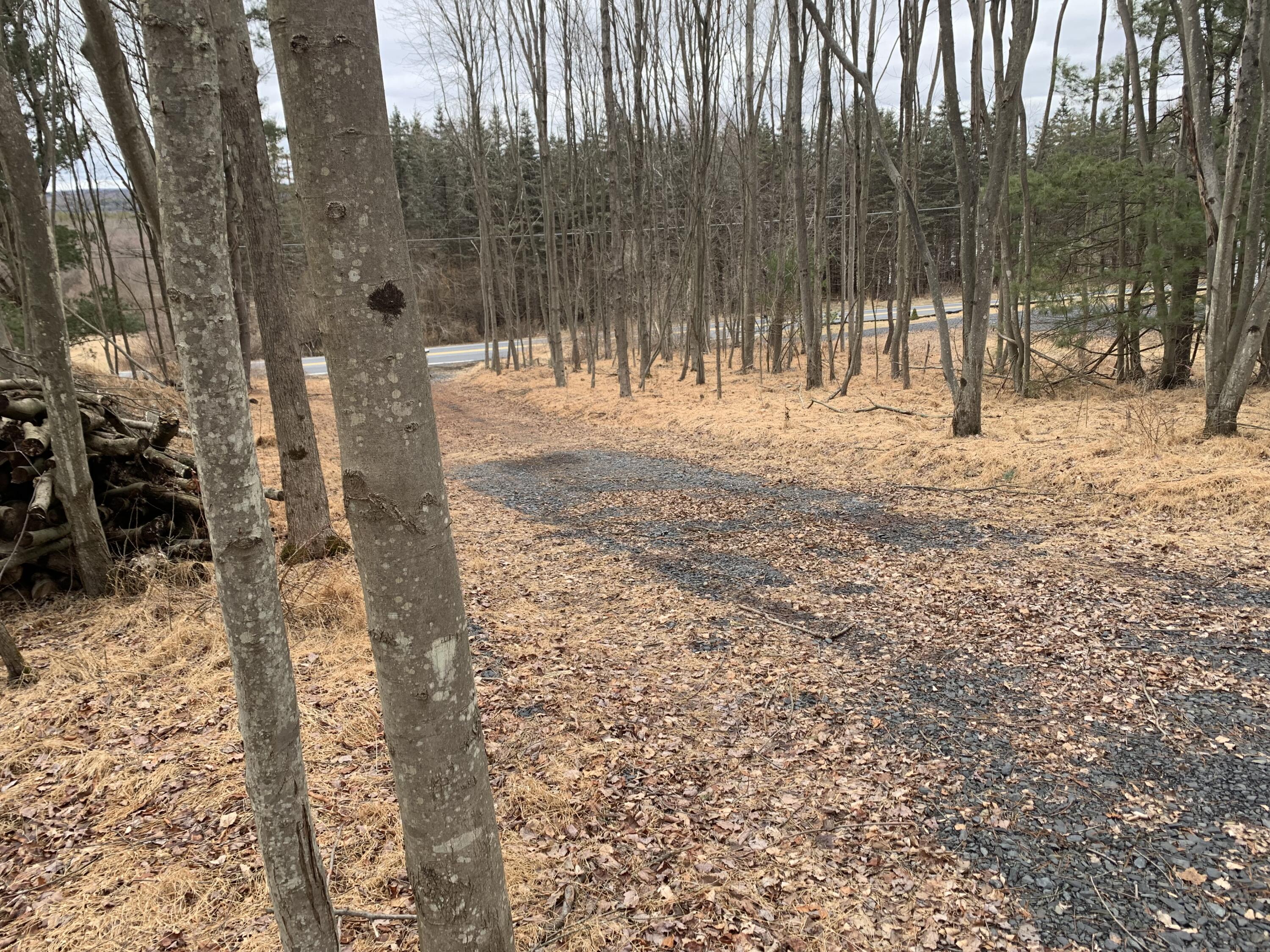 Mountain View Drive Gilbert, PA 18331 - Photo 4 of 8 a view of a yard with a tree