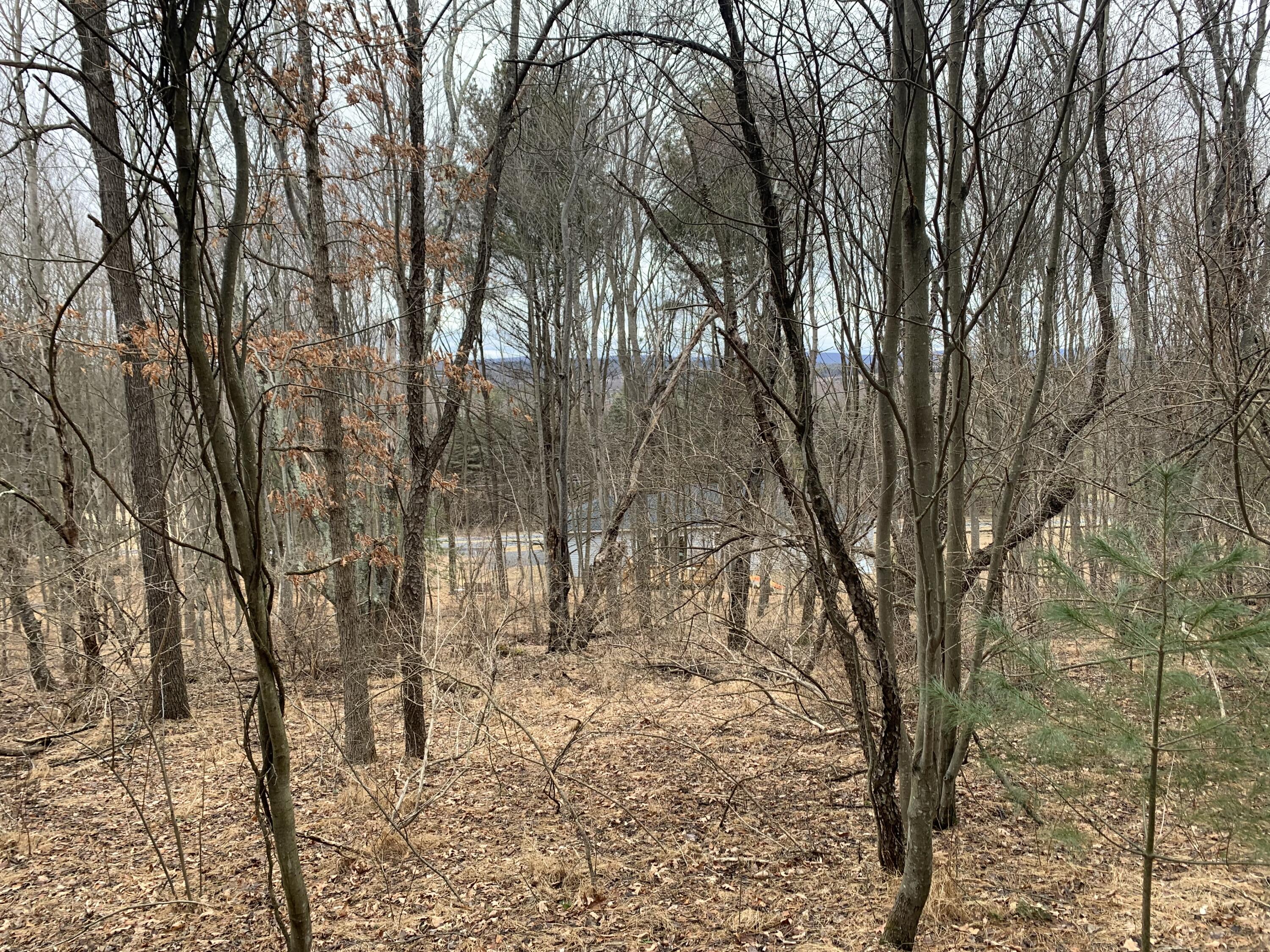 Mountain View Drive Gilbert, PA 18331 - Photo 6 of 8 a view of covered with snow