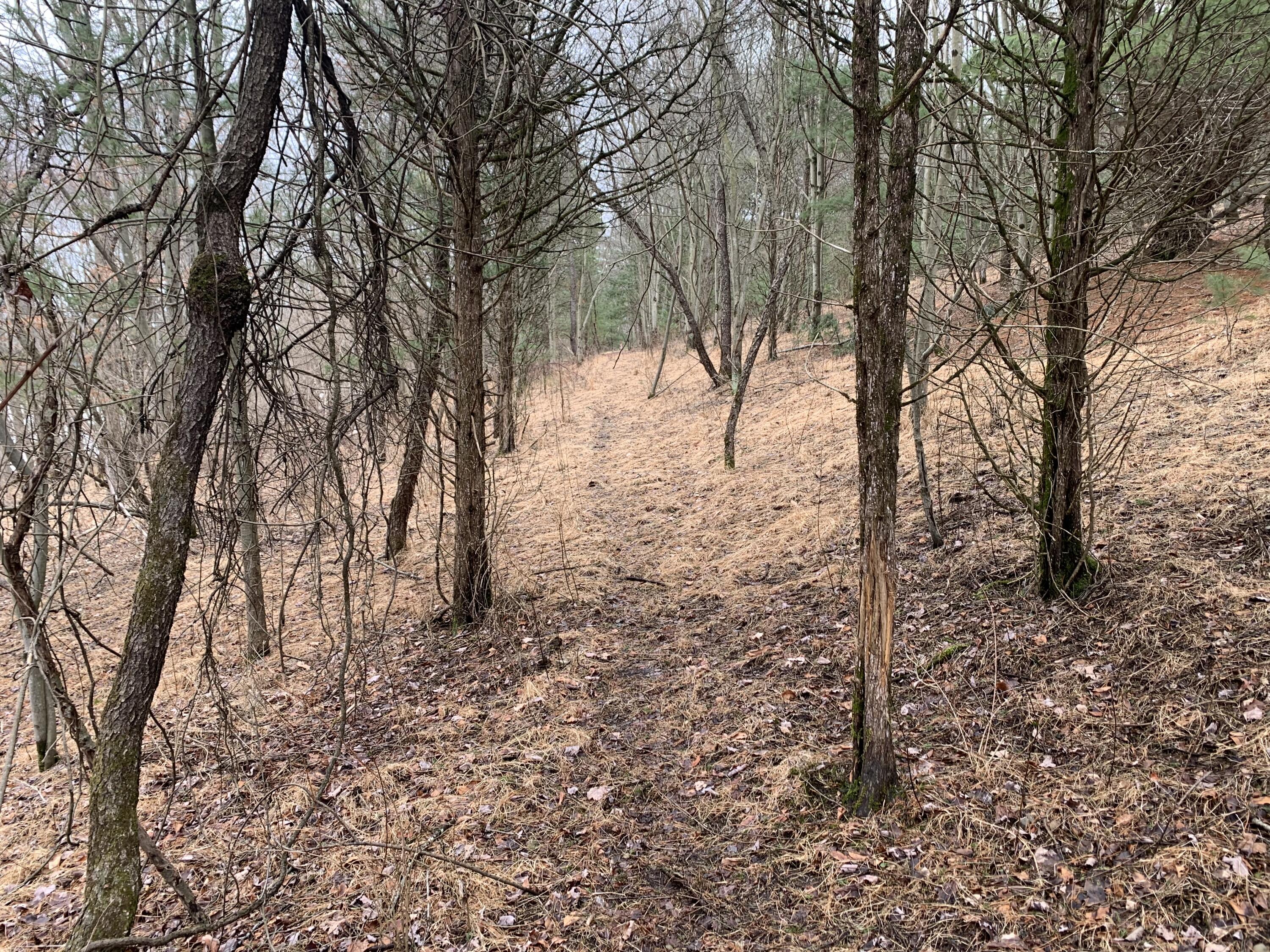 Mountain View Drive Gilbert, PA 18331 - Photo 7 of 8 a view of trees and covered with snow
