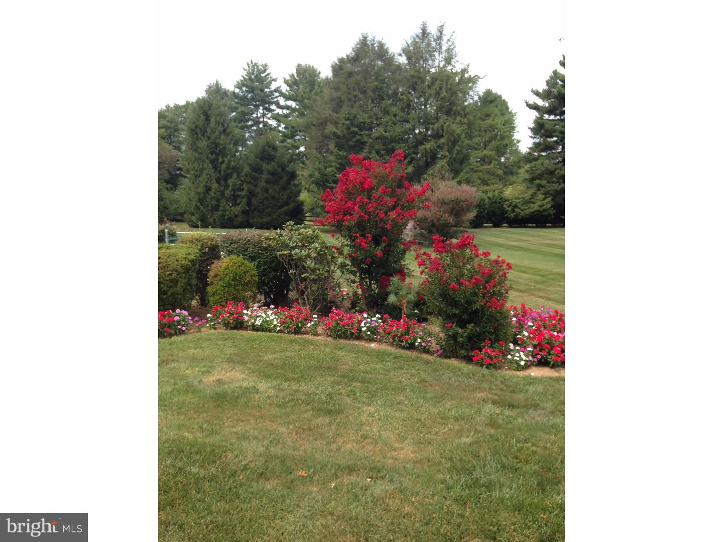 1135 Waterloo Road Berwyn, PA 19312 - Photo 9 of 24 Back Yard