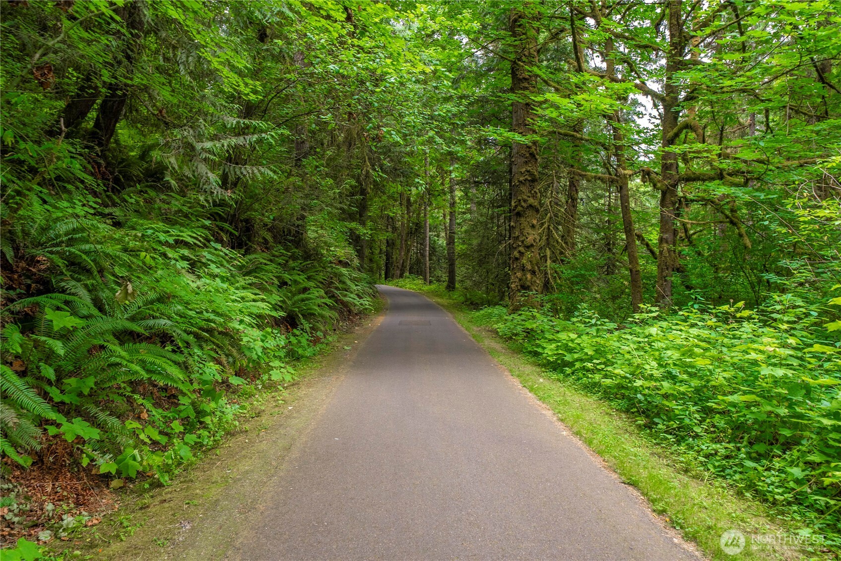1546 Reservation Road Southeast, Unit 62 Olympia, WA 98513 - Photo 22 of 39