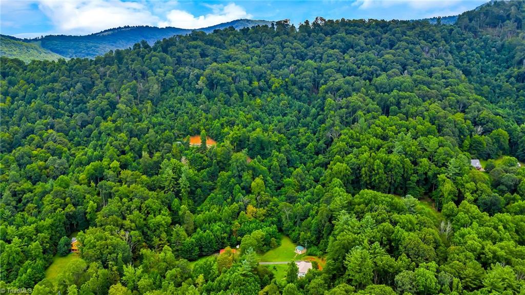 Tbd Tbd Deep Ford Road Lansing, NC 28643 - Photo 9 of 21