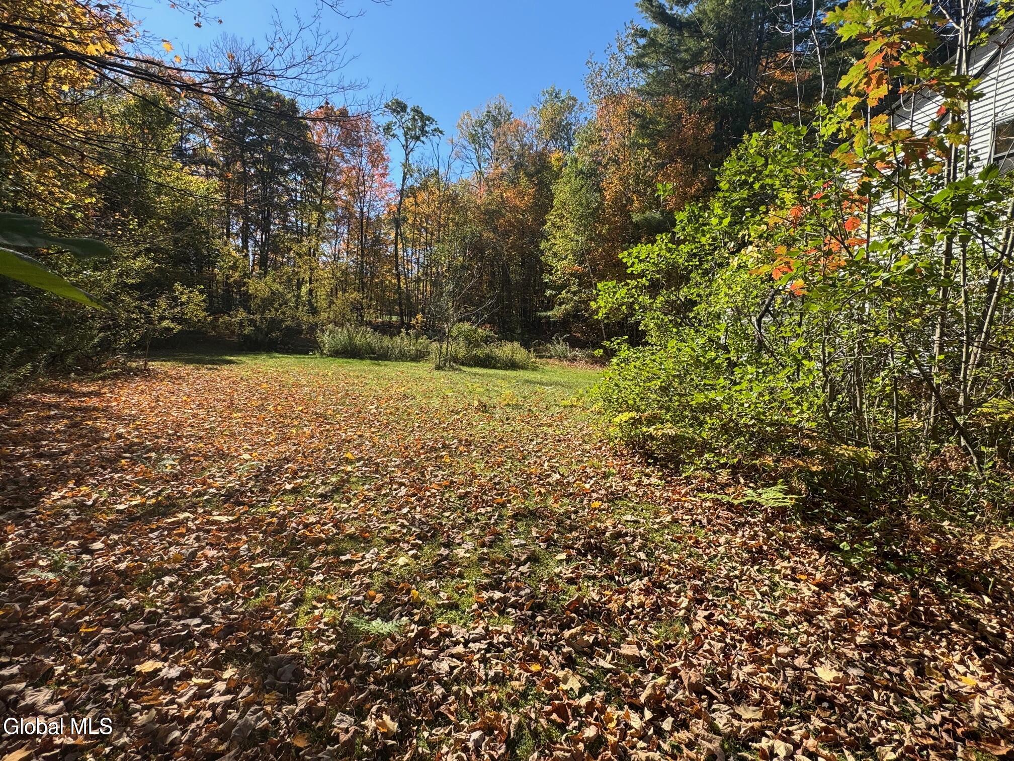 58 County Rte 56 Ticonderoga, NY 12883 - Photo 30 of 33 IMG_0242