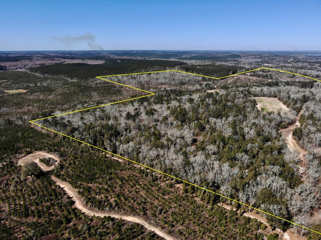 0 County Road 97 Abbeville, AL 36310 - Photo 16 of 53