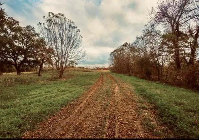 $549,900 | 12215 Foxton Road, Houston, TX 77048