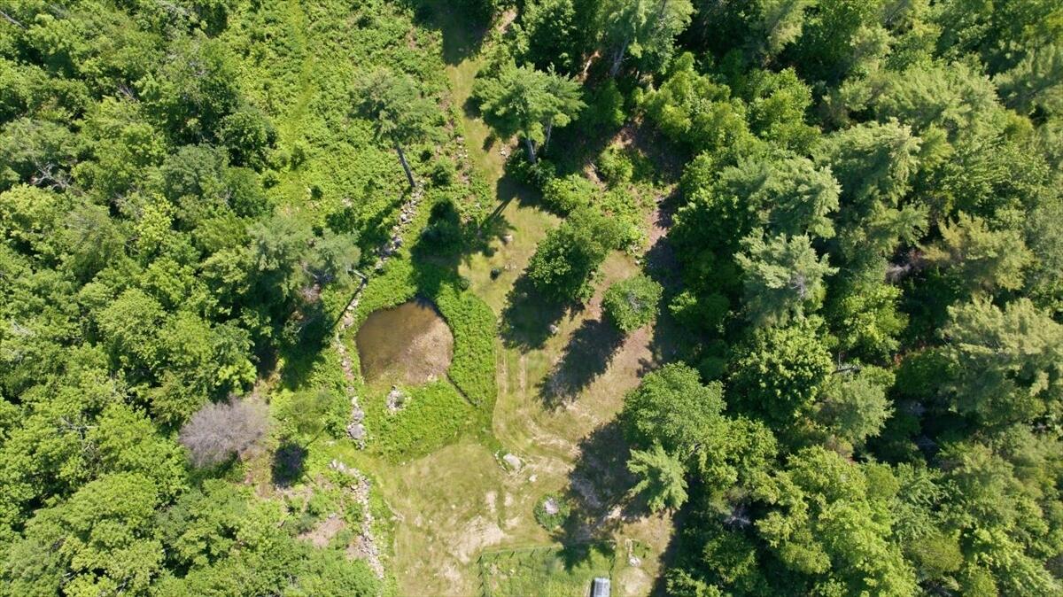 24 Bradeen Road Sumner, ME 04292 - Photo 70 of 75 29-DJI_20260629133856_0352_D