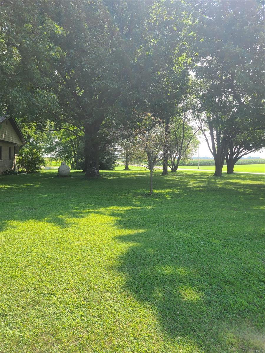 1602 Walnut Road St. Jacob, IL 62281 - Photo 3 of 43