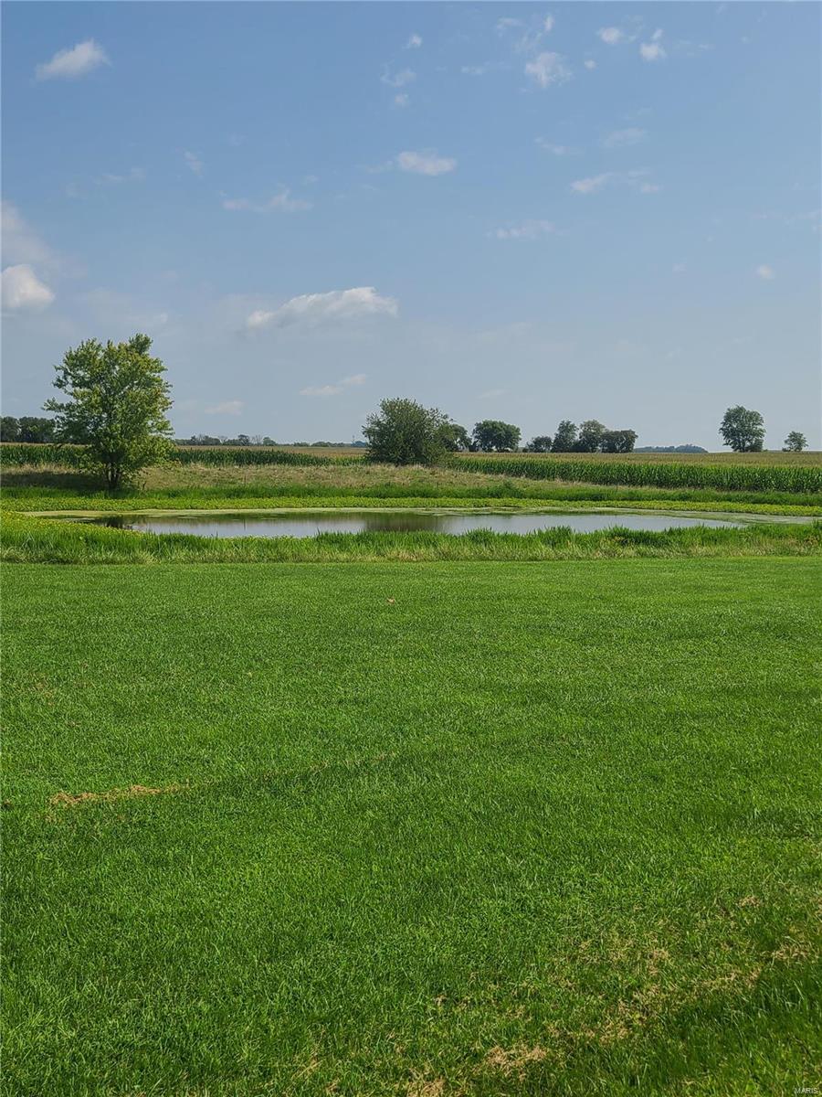 1602 Walnut Road St. Jacob, IL 62281 - Photo 4 of 43