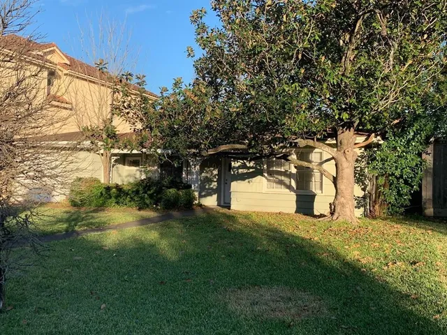 a view of a yard with a tree