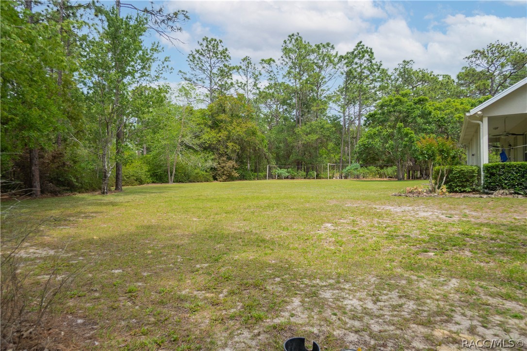 6479 West Candier Court Dunnellon, FL 34433 - Photo 53 of 71 Gallery Image 53