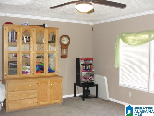 4875 Eastaboga Road Talladega, AL 35160 - Photo 9 of 36