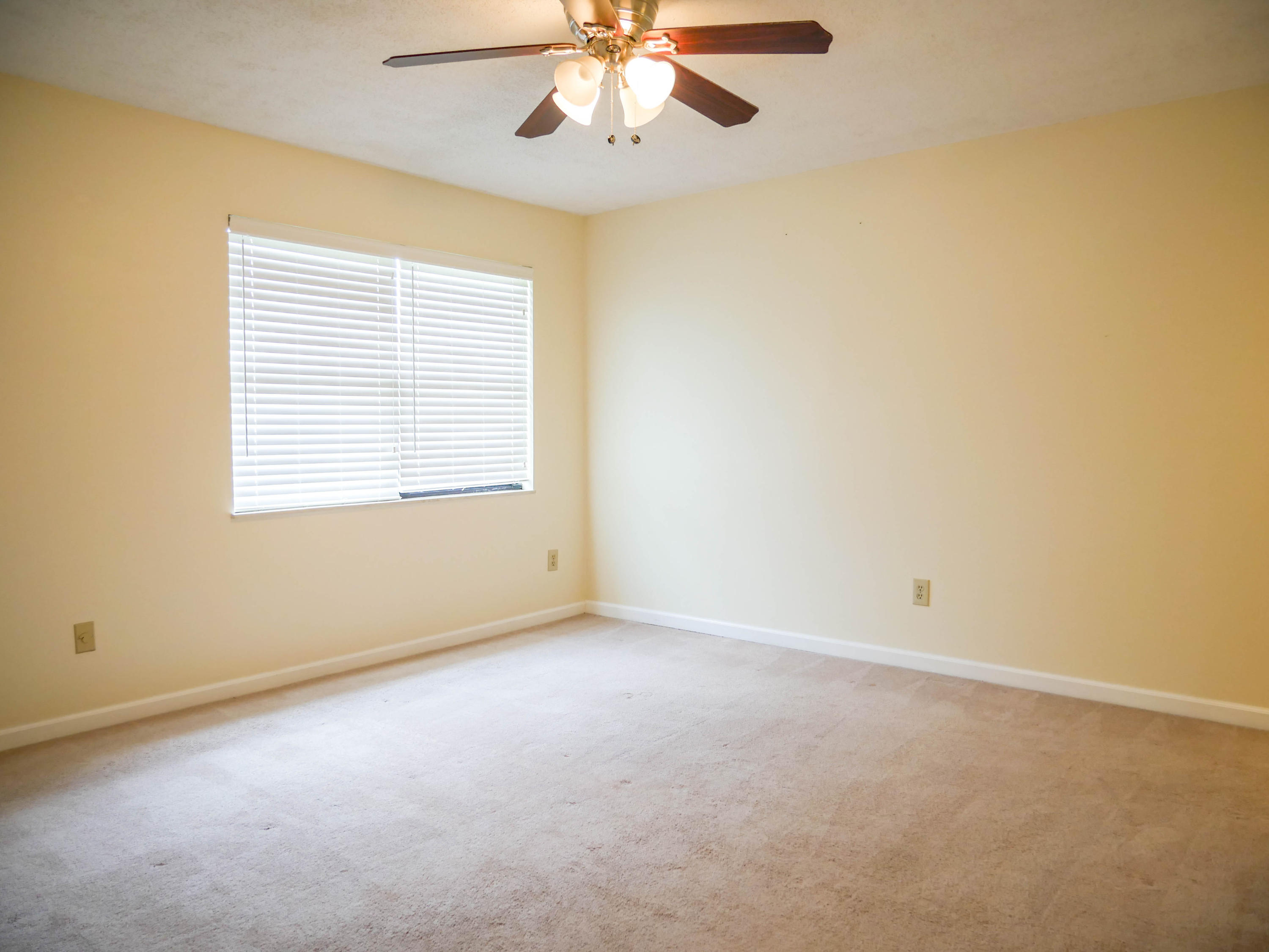 102 High Point Lane Oak Ridge, TN 37830 - Photo 16 of 22 P1040375