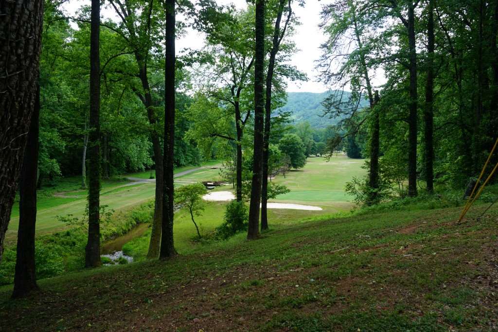 448 Country Club Road Tryon, NC 28782 - Photo 11 of 36