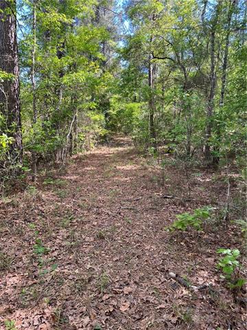 0 Bj Maurer Road Independence, LA 70443 - Photo 13 of 21